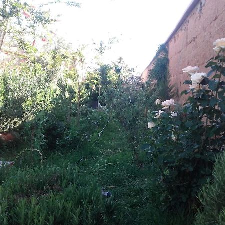 Auberge Toda Ait Igad Luaran gambar