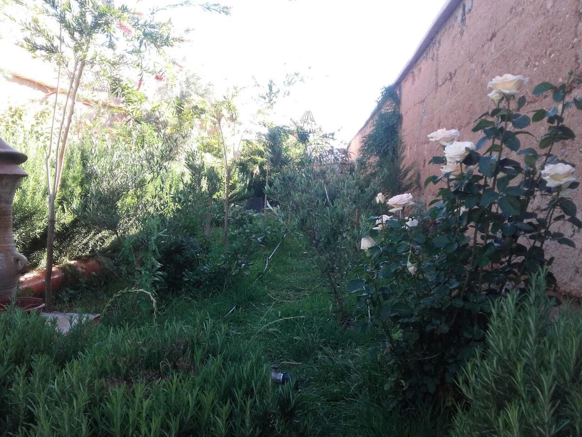 Auberge Toda Ait Igad Luaran gambar